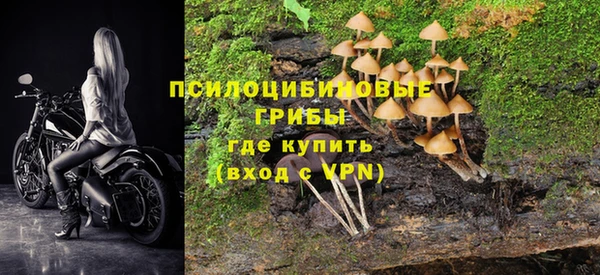 синтетический гашиш Алексин