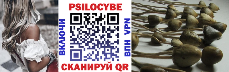 Псилоцибиновые грибы ЛСД  наркотики  Каргат 